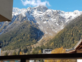 Meilleur emplacement hypercentre avec parking privatif souterrain Chamonix-Mont-Blanc